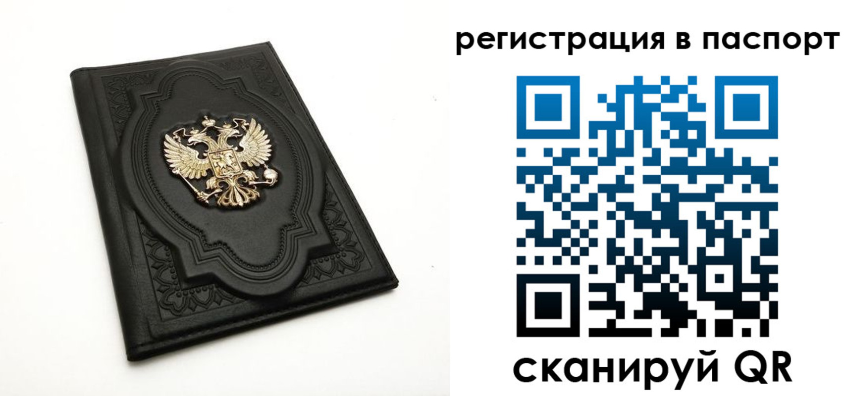 прописка регистрация в Рязанской области
